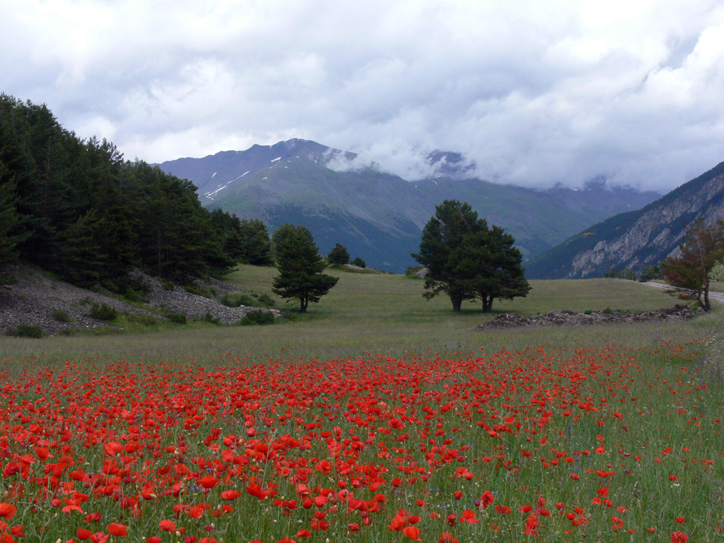 201305-Paysage-de-printemps