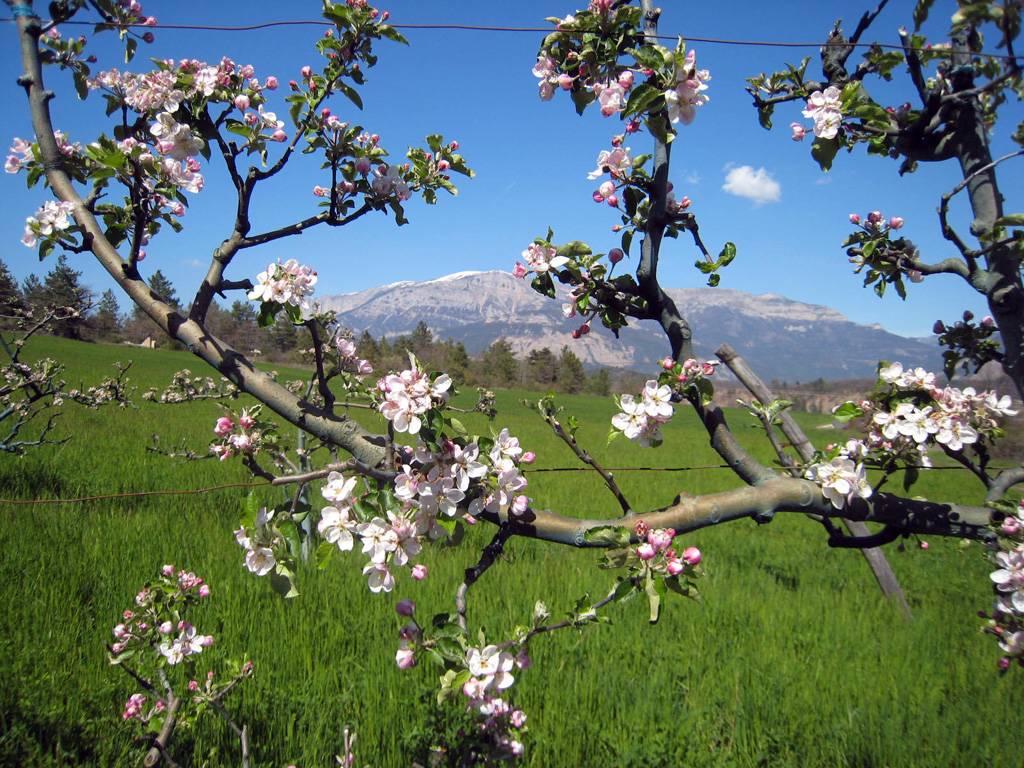 201305g8-Paysage-de-printemps