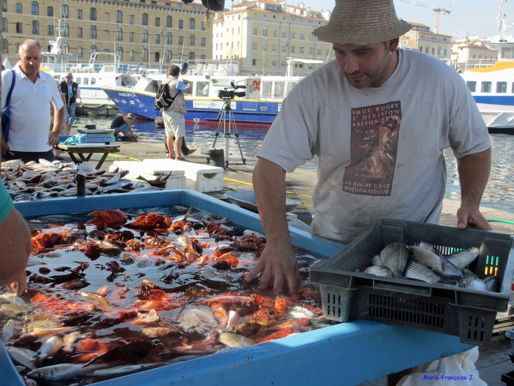 Bouillabaisse1