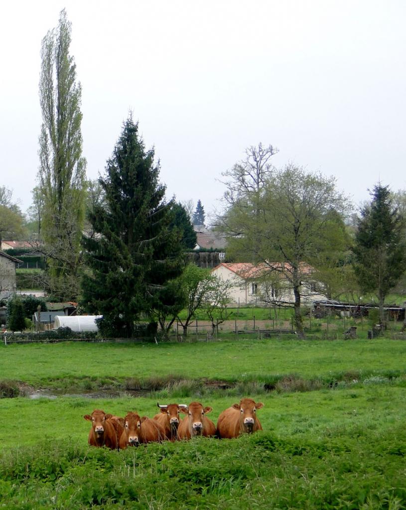 en-Haute-Vienne