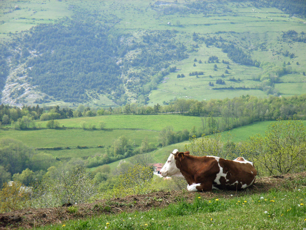 Roche-percée1